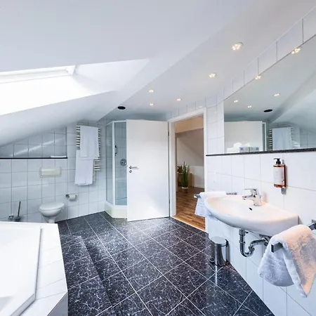 Sonne Guest house *