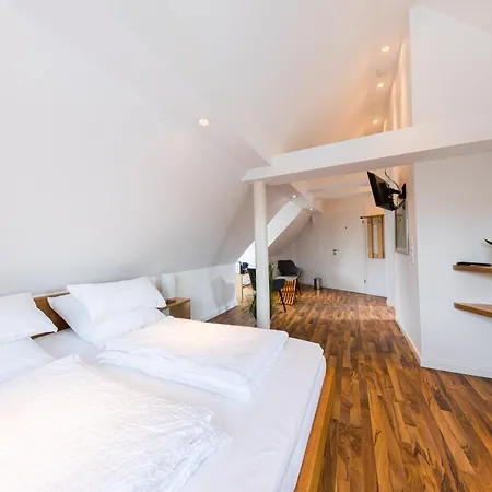 Sonne Guest house *